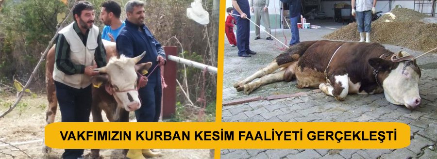 KURBAN KESİM FAALİYETİ GERÇEKLEŞTİ