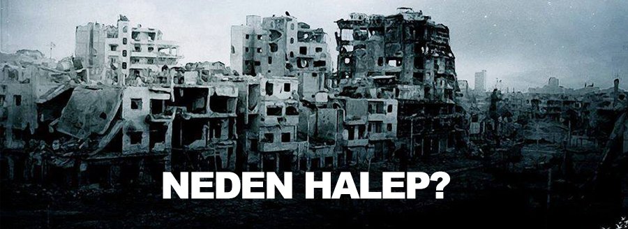 NEDEN HALEP