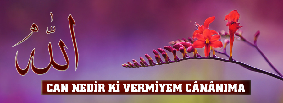 CAN NEDİR Kİ VERMİYEM CÂNÂNIMA